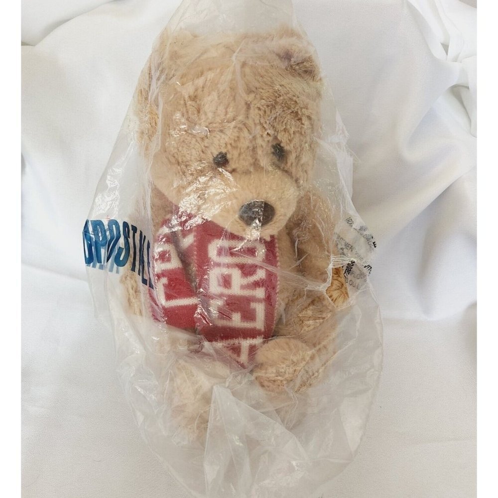 Aeropostale 17" Teddy Bear Plush with Knit Scarf Stuffed Animal Winter